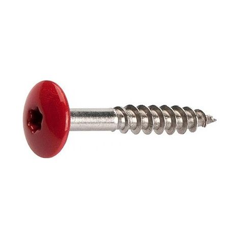 Cedral vis panneaux façade coloré torx C18 gris schiste Ø4,8x38mm /100pcs