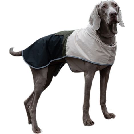 Imperméable et coupe-vent pour grands chiens, idéal pour les activités de plein air printanières. Taille XL, en polyester avec empiècements de couleur. (1/5)
