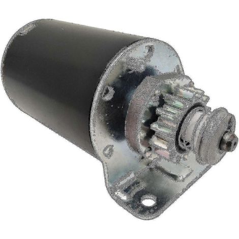 Démarreur pour VTT Briggs & Stratton 14.5 16 17 593934 693551 Moteur-e (1/5)