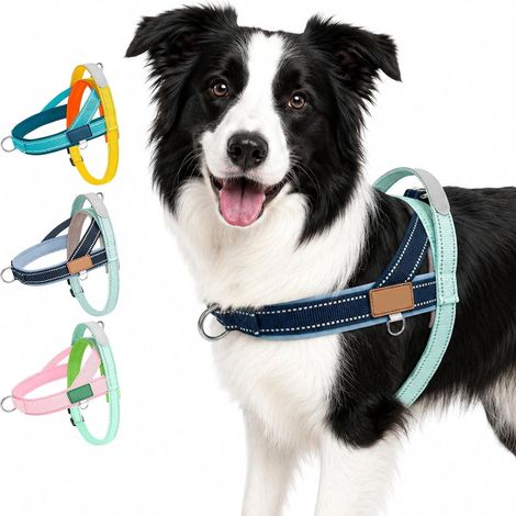Arnés ajustable en forma de T, talla L - Ideal para pasear al perro y para paseos diarios - Para perros pequeños y medianos - Arnés de mano antitirones (1/5)