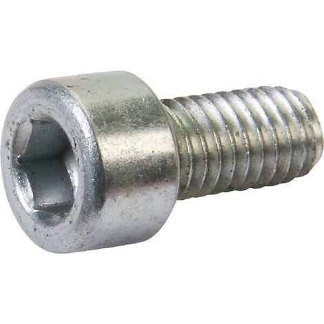 Vite a brugola 6x12 AL-KO AK510433