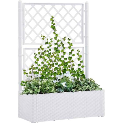 Lit surélevé de jardin-Jardinière surélevée-Bac de jardin surélevé et treillis et système d'arrosage Blanc (1/5)