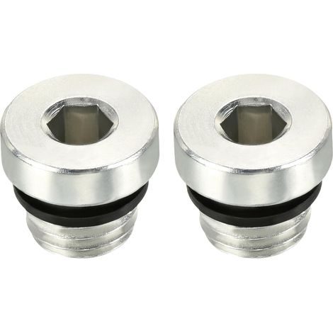 2 Pcs Bouchon Tuyau M10x1.25, Filetage Mâle Raccord à Empreinte Hexagonale Interne  Accessoires Tuyauterie, Idéal pour Fermer les Extrémités (Argent, 0.2-Pouce) - (1/4)