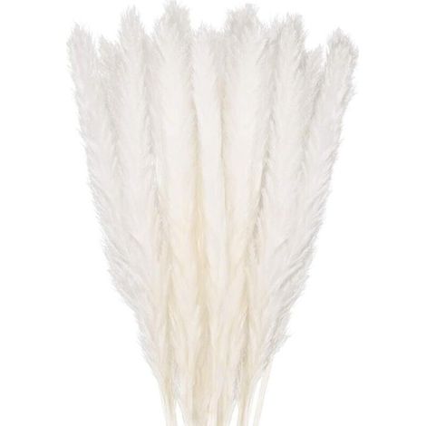 Ugreat – Dried Flower Bouquet 30 pcs Pampas Grass 58 cm – White Colour – For Home Decor and Weddings – Floral Arrangements