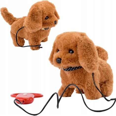 Jouets interactifs pour chiens : mascottes, laisses, couleurs pour enfants (1/5)