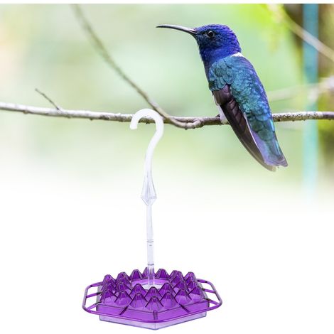 Mangeoire suspendue pour colibris, mangeoire automatique pour oiseaux, mangeoire suspendue d'extérieur, abreuvoir pour oiseaux, violet. (1/5)