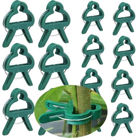 50 pièces - clips de support pour plantes - pince pour plantes - tube de fixation - Plantes - clips pour plantes - support pour plantes - pince pour plantes - pince pour plantes - pinces pour plantes (1/4)