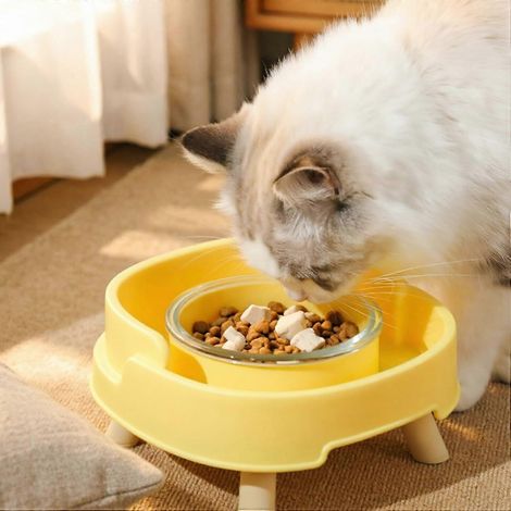 Gamelle surélevée pour chats d'intérieur hauteur ergonomique large insert en verre jaune pour senior (1/5)