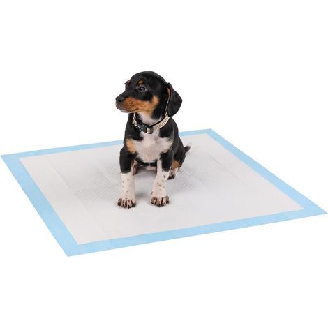 - Lot de 40 Tapis d'entraînement pour chiots, tapis hygiénique pour chiens, anti-fuites, 6 plis, 60 x 60 cm-Chrom (1/5)