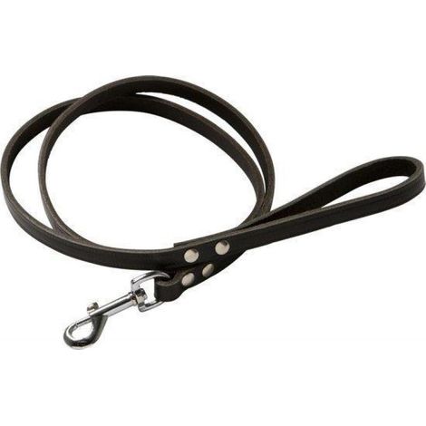 Laisse pour chien - Corde d'entraînement - Cuir - Marron foncé - Cuir souple - 200 cm x 14 mm - Résistante