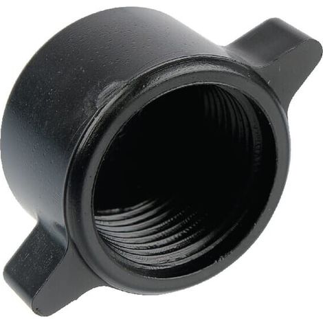 Tuerca ciega G3/4 ZL LEMKEN F610941