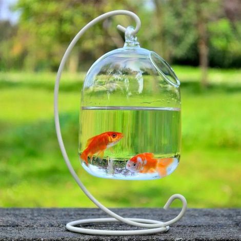Aquarium suspendu créatif en verre, aquarium en verre transparent fait main, ornement de décoration intérieure (1/5)