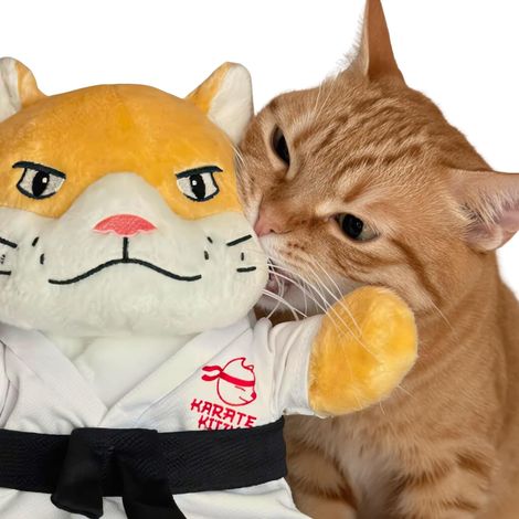Katzenpuppe mit Armstulpe – Box- und Armdrückhandschuh für Katzen mit realistischen Bewegungen, Katzenminze-Tasche und Knisterohren