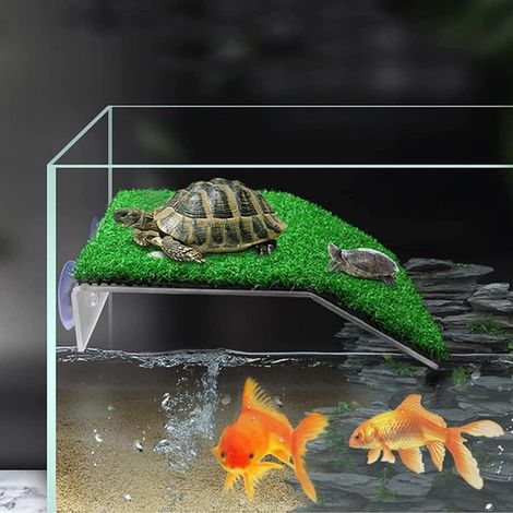 Plateforme flottante pour tortue – Habitat avec ventouses – Décoration et espace de repos pour aquarium et terrarium (1/5)