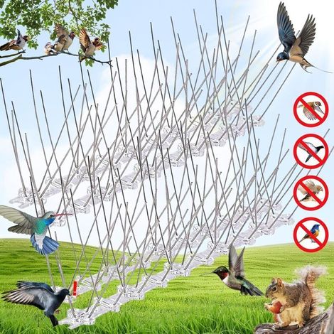 4 Pièges Anti-Oiseaux Inox – Pointes Dissuasion pour Pigeons, Corbeaux, Mouettes, Surface Large (1/4)