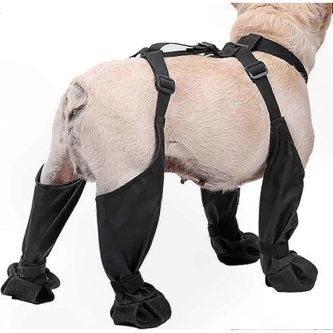 Bottes pour chien imperméables et réglables. parfaites pour les aventures en plein air. conception résistante pour protéger les pattes. adaptées à la randonnée et à la course. taille L. (1/5)