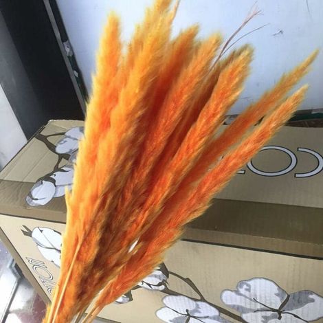 15 pieces pampas grass Dried decoration nature Dried reed blossom bouquet DIY boho table decoration for home hotel wedding gift orange (1/5)