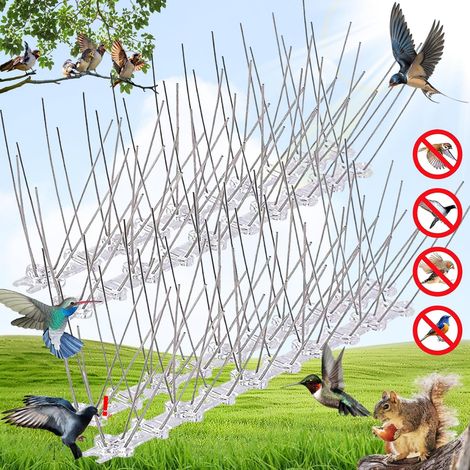 Pièges Anti-Oiseaux – Pointes Dissuasion pour Pigeons Corbeaux Mouettes Surface Large 4 Inox (1/5)