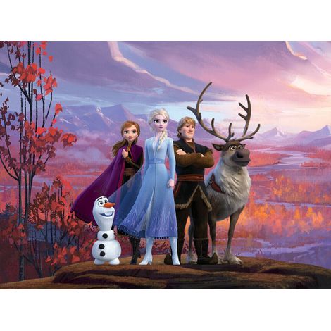 Papier peint La Reine des Neiges II  252X182 cm (1/5)