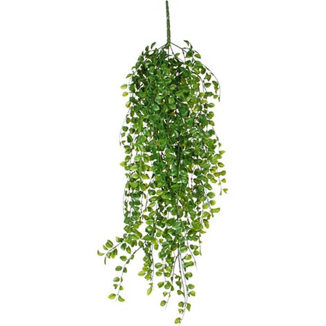 Maceta colgante de ficus verde, 81 cm (1/2)