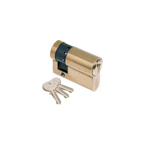 MEZZO CILINDRO A INFILARE SAGOMATO F5 820  mm.40 (30+10) (8209301074)    ISEO