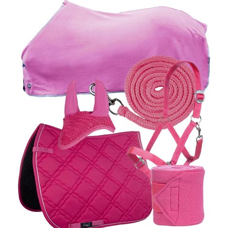 cavezza pony, fucsia: SET GRAN RISPARMIO 6 PEZZI sottosella inglese  più  coperta  più  lunghina  più  cavezza  più  cuffia  più  fasce