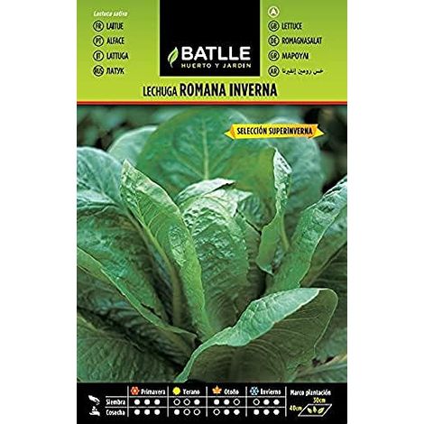 Semillas Batlle Lattuga Inverna S.SUPERINVERNA (1/3)