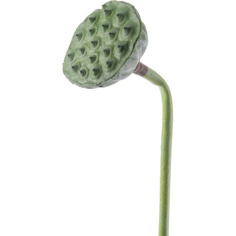 RAMO LOTO DECORATIVA 7X84CM VERDE DECORO CASA GIARDINO