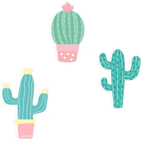 3 crochets patères enfants - Cactus (1/3)