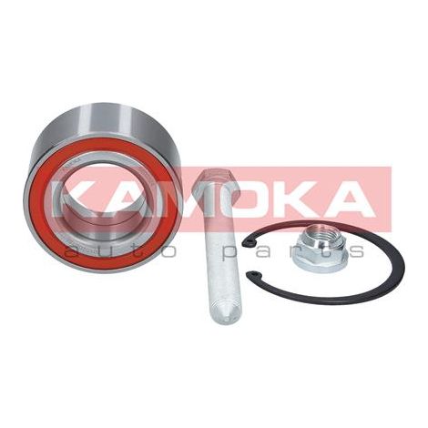 Kit cuscinetto ruota 5600024 Kamoka (1/4)