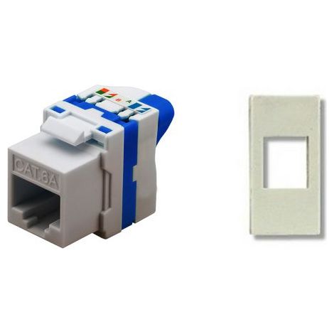 TechLy presa di rete RJ45 UTP CAT.6a tooless + Matix bianca