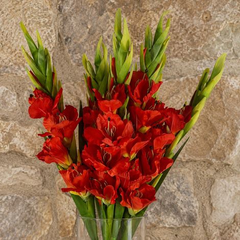 Pack of 6 x 115cm Artificial Orange Gladioli Stem - Premium Quality (1/5)
