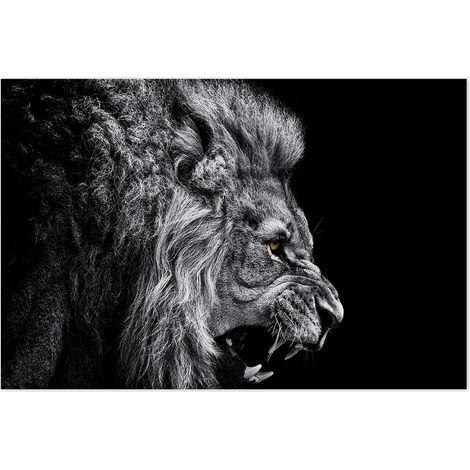 Affiche Rugissement du lion - 60x40cm - made in France (1/5)
