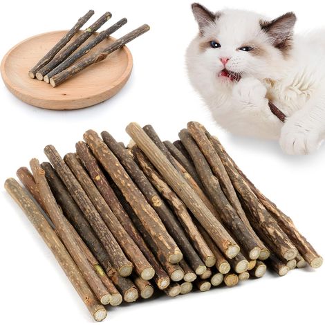 Bâtonnets de Cataire pour Chat, 30 Pièces en Herbe à Chat Naturelle, Jouet 100% Bio, Bâtons de Népéta pour Félins (1/5)