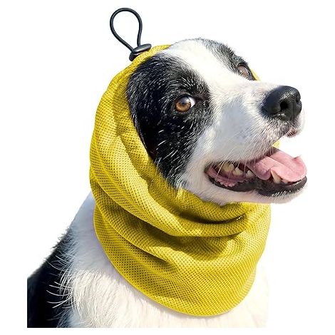 Écharpe Refroidissante Chien Jaune L, Bandana Été Respirant avec Protection Acoustique Oreilles, Collier Ajustable pour Chiens Poil Long (1/5)