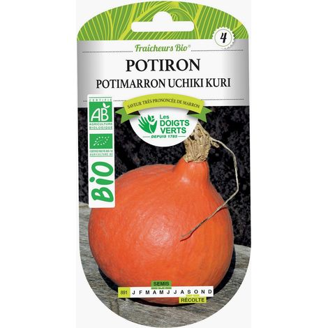 Semillas de calabaza potimarron Uchiki Kuri BIO Los Dedos Verdes (1/2)