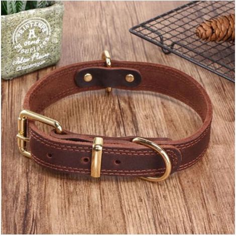 Collier pour chien en cuir véritable XXL – Rembourré en peau de mouton – Boucle en acier inoxydable – Pour Malamute, Golden Retriever, Labrador