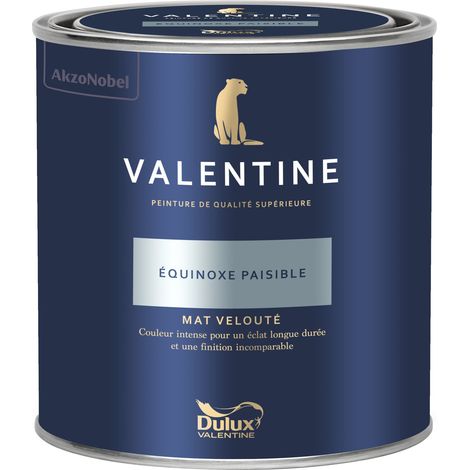 Dulux Valentine Peinture intérieure de haute qualité - Valentine - Couleur intense & pouvoir couvrant élevé - Mat Velouté Équinoxe Paisible 0,5 L