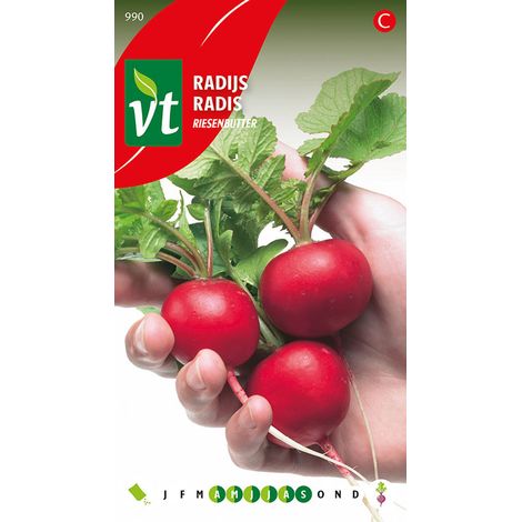 Radis Riesenbutter - Ca. 6 gr (Livraison Gratuite)