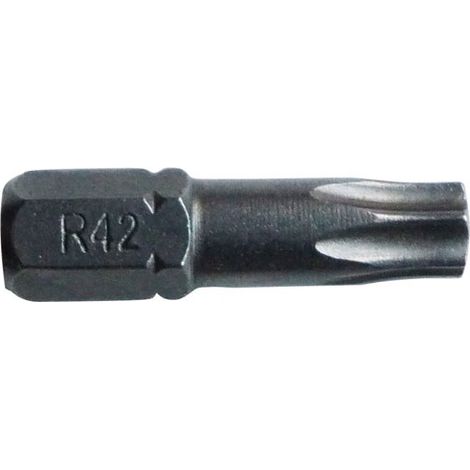 RISS - Embout torx T25 l.25mm forgé blister de 3
