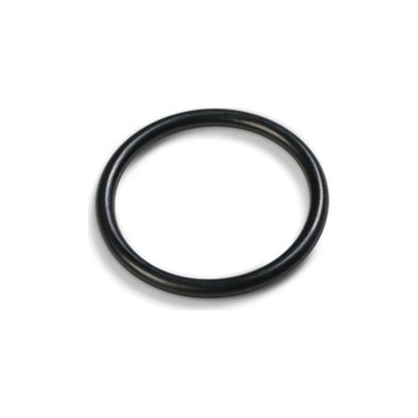 ANELLO PER POMPA FILTRO 28634 E CLORINATORE 28664/62/44