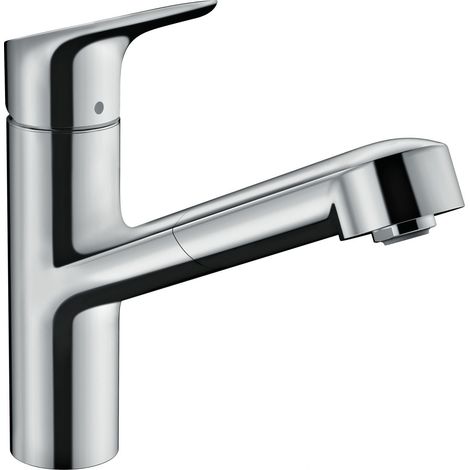 Hansgrohe Küchenarmatur Focus M43 150 mit herausziehbarer Handbrause Küchenarmatur (1/3)