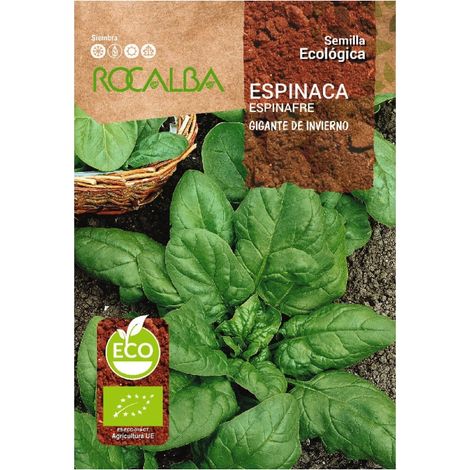 Rokalba Eco Winter Riesen Spinat 8g