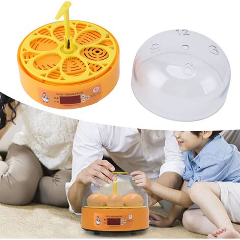 Incubateur d'œufs automatique 6 œufs pour poules canards avec contrôle température humidité et retournement manuel portable ABS (1/5)