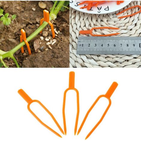 Clips de fixation pour plantes de jardin, supports de serrage en plastique pour vignes, fourches de plantation pour semis de fraisiers et de pastèques (1/5)