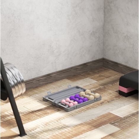Set di 6 manubri con valigetta, 0,5 kg, 1 kg e 1,5 kg, rosa OKMYHOME (1/5)