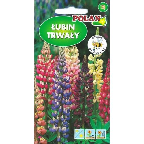 Lupino perenne Ruscello Mix di fiori melliferi Semi Polan