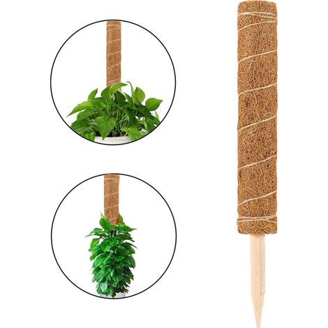 Poteau de mousse de coco pour plantes, support robuste avec pointe en coir et base solide (1/5)