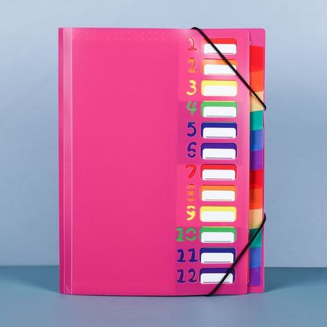 1 carpeta documentos A4, carpeta portátil expandible 12 compartimentos, carpeta organizadora plástico PP banda elástica, impermeable, rosa rojo (1/5)