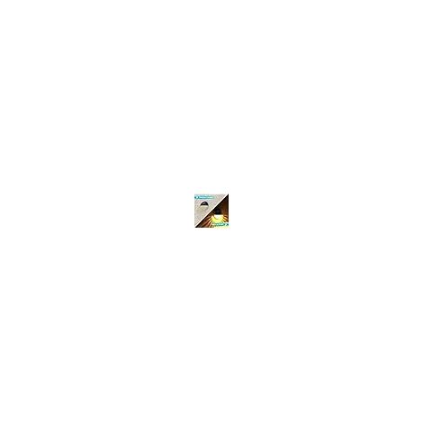 Lot de 4 Appliques Murales Solaires Extérieures IP65 Étanches pour Jardin, Terrasse, Porte d’Entrée et Allée – Lumière Blanc Chaud (1/5)